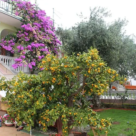 Apartmani Gojevic Vodice Exterior photo